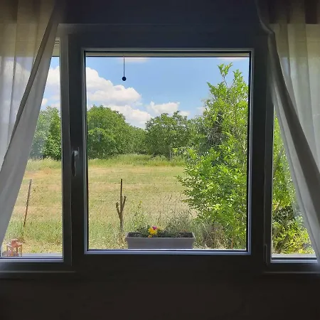 Inside The Trees