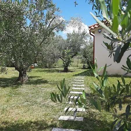 Σπίτι διακοπών Inside The Trees *